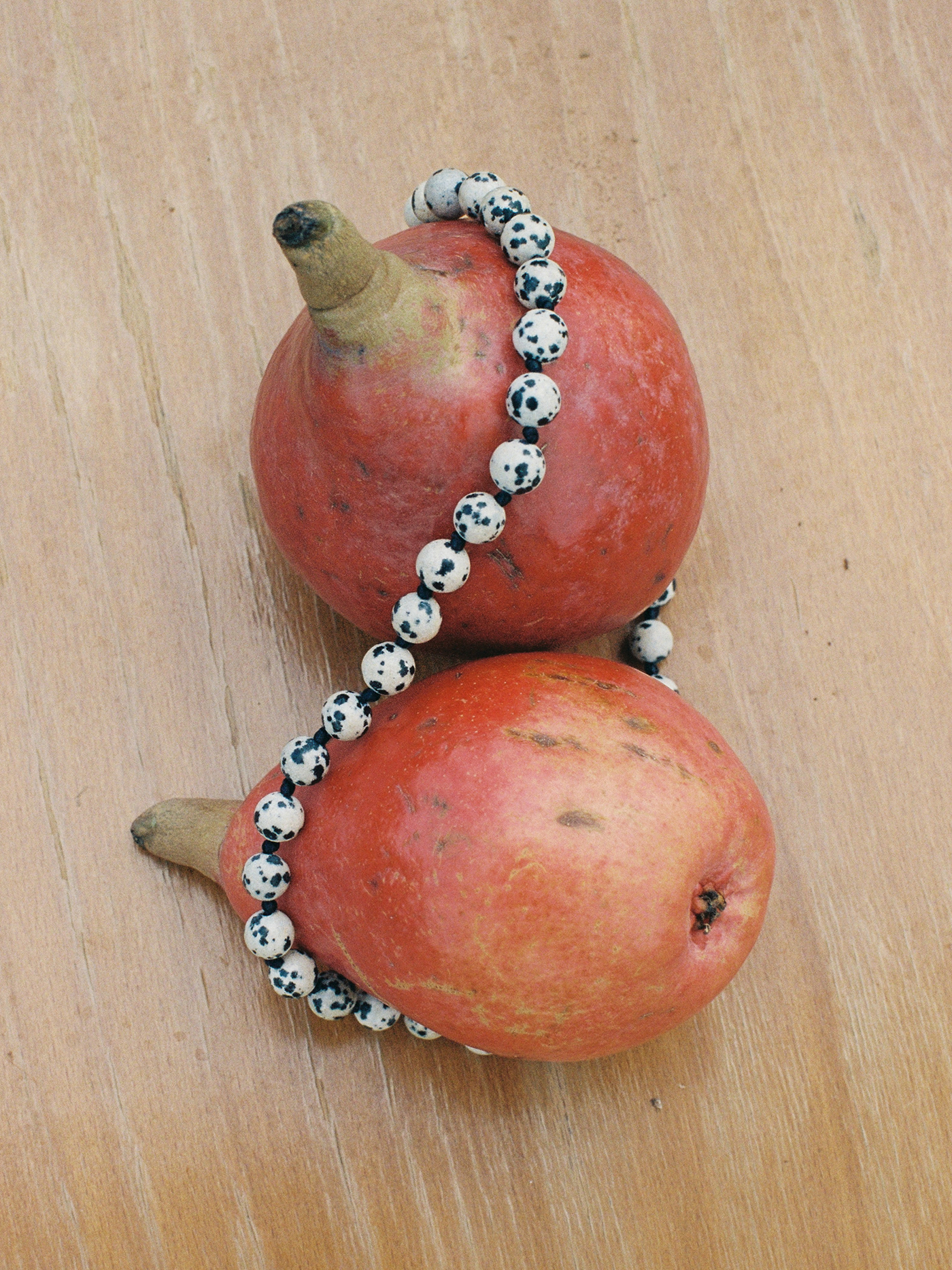 Eve Necklace | Dalmation Jasper Gold