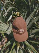 Ascent Cap | Umber