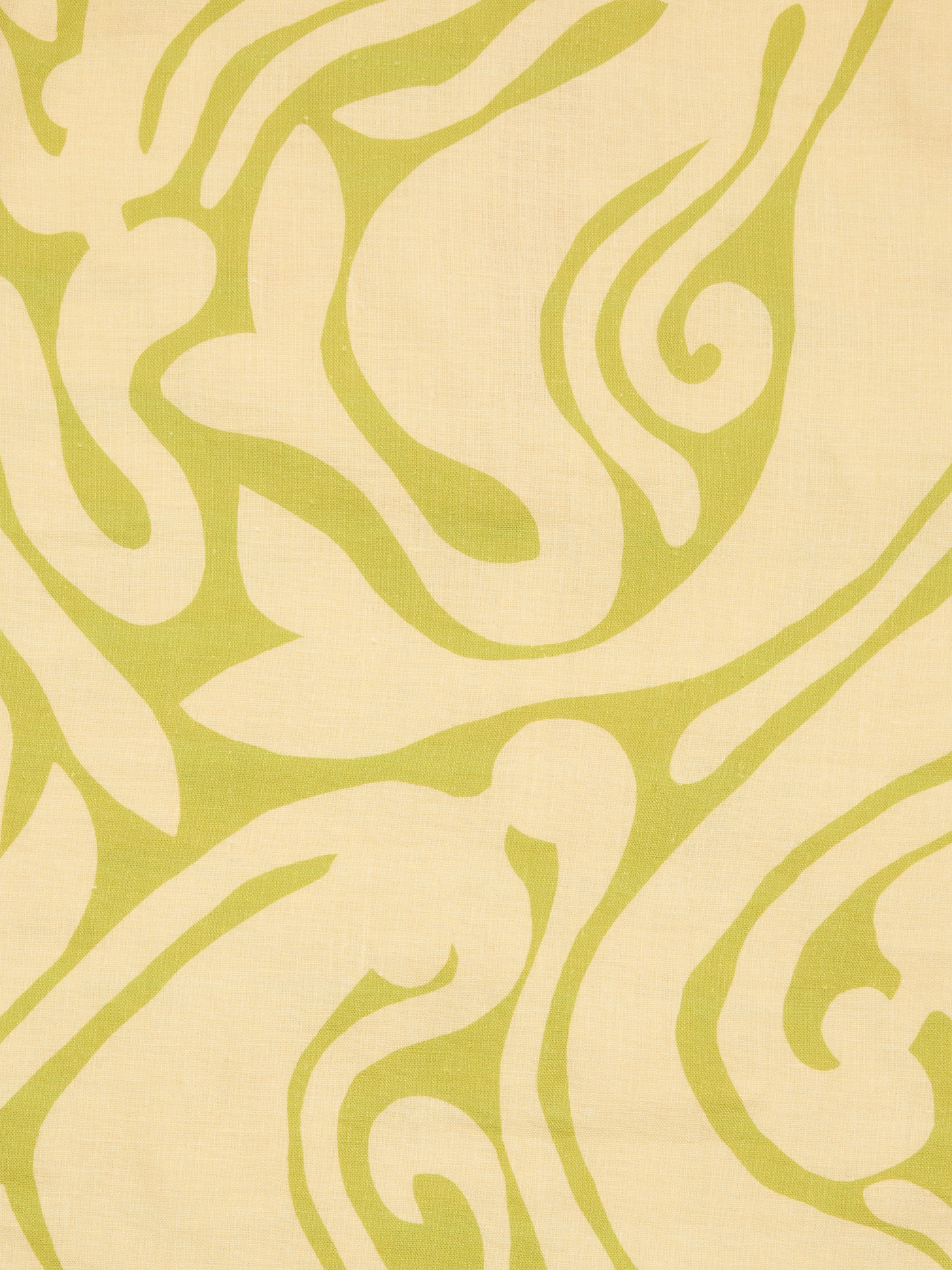 Abbey Short | Silhouette