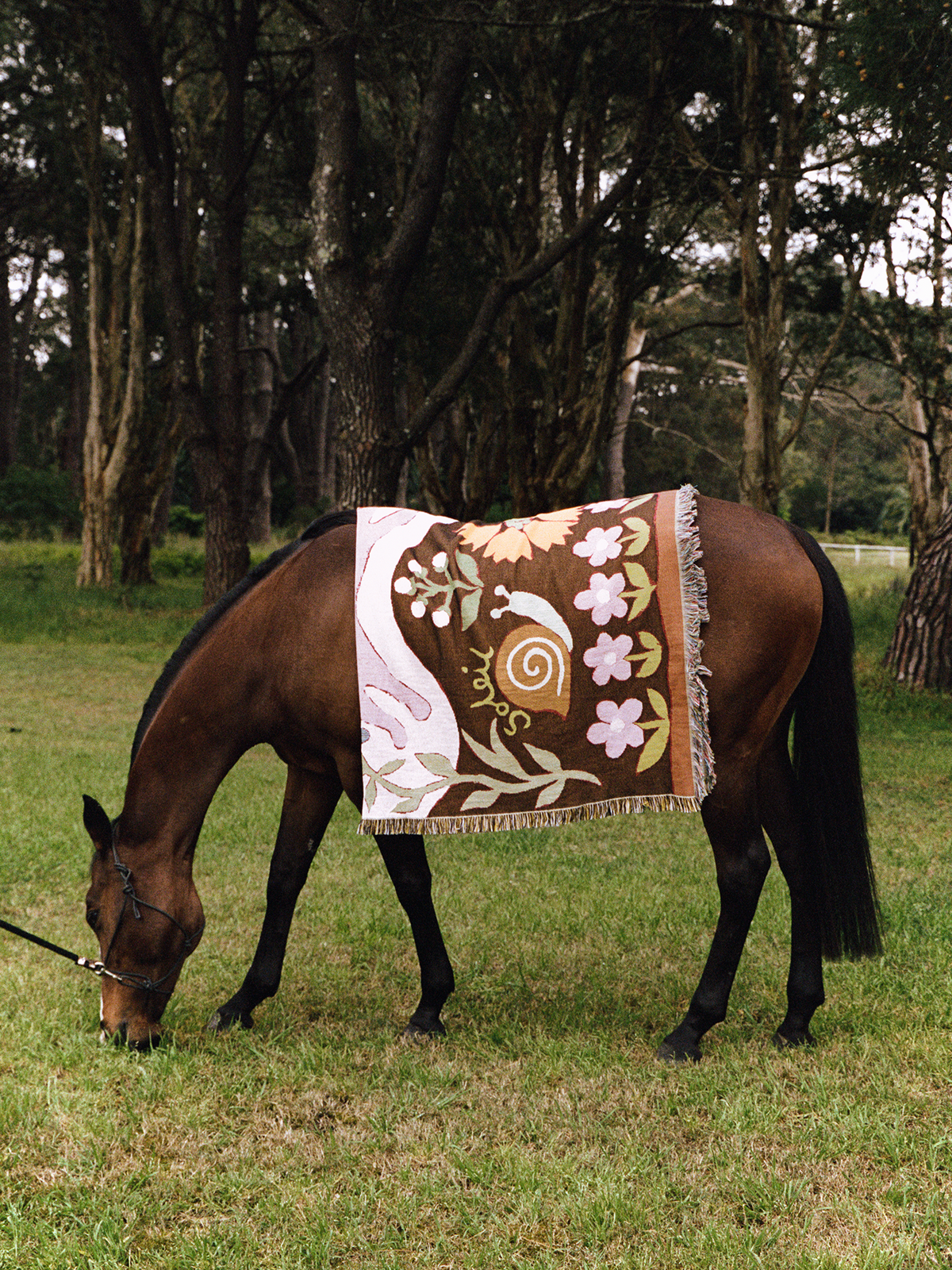 Woven Blanket | Le Lapin
