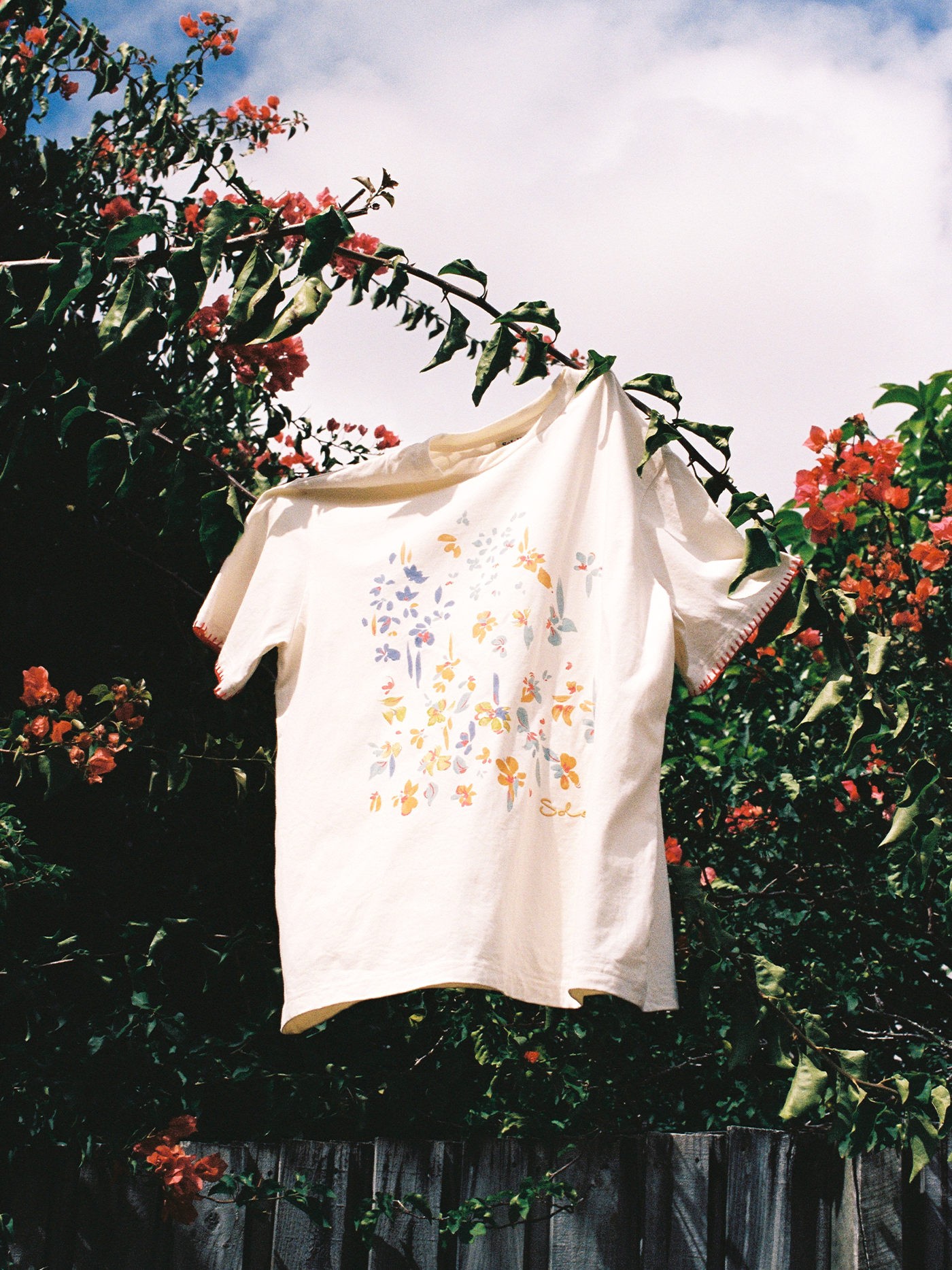 T-Shirt | Posy
