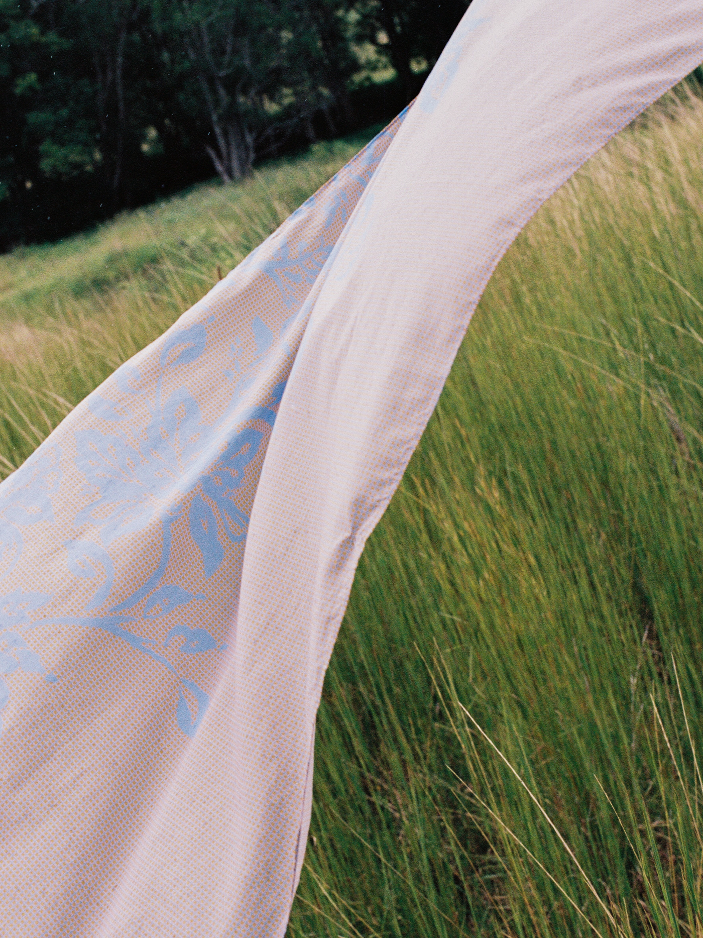 Petite Pareo | Trellis