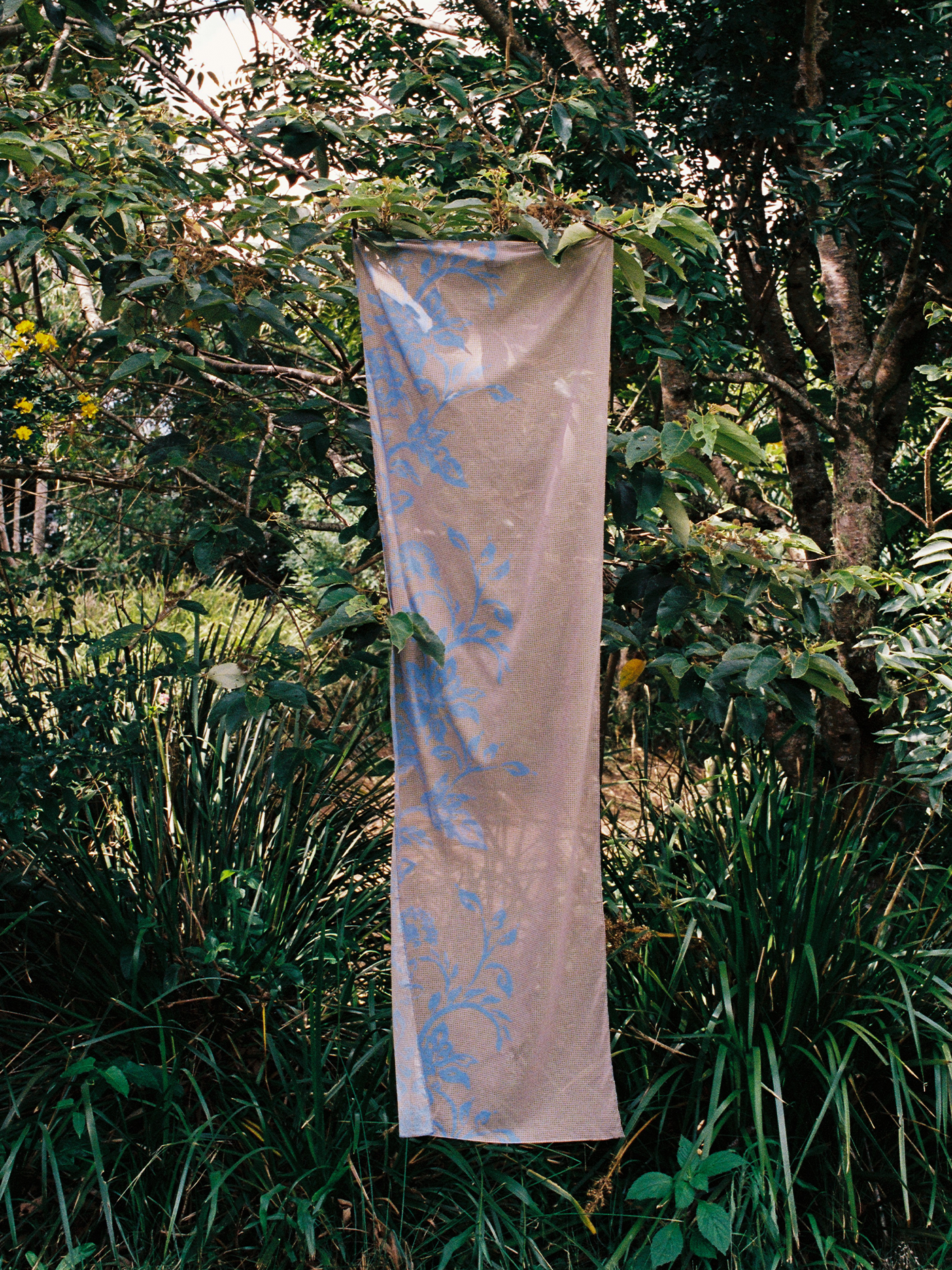 Petite Pareo | Trellis