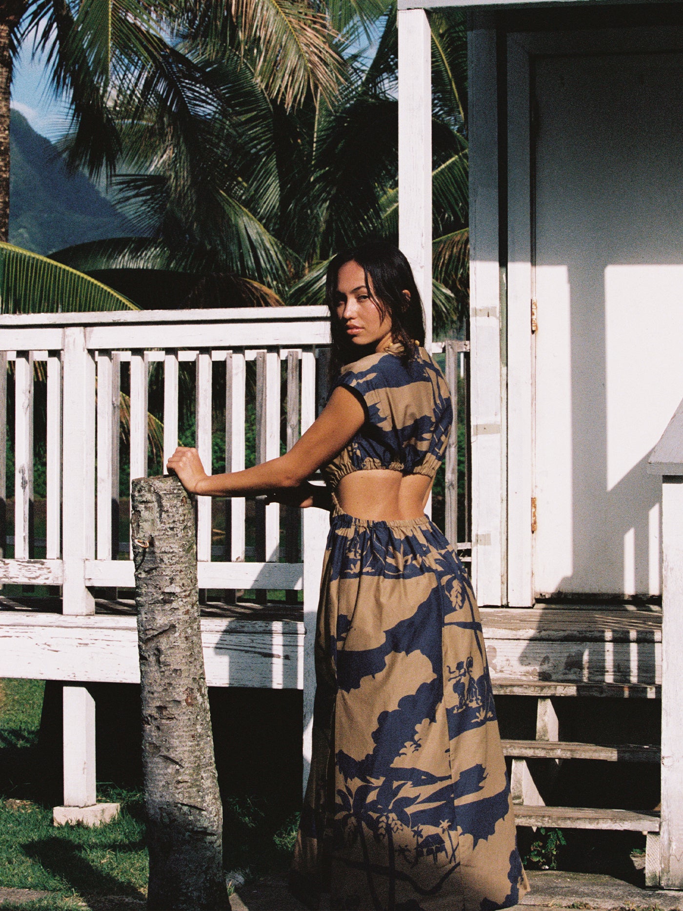Joey Dress | Koa